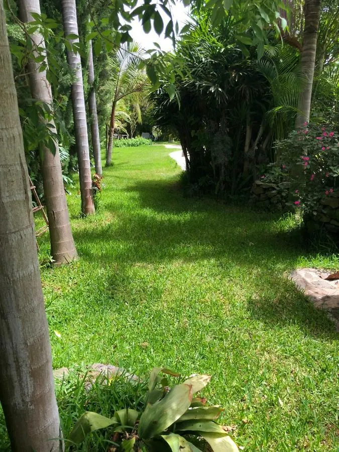 Villa Tijarafe 1 Ferienhaus