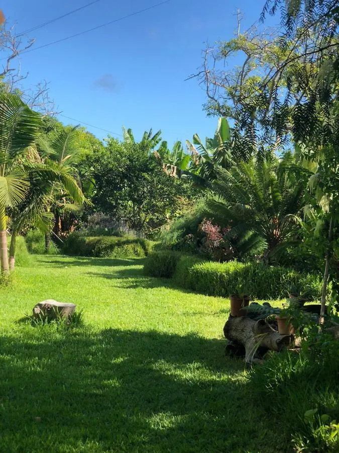 Ferienhaus Villa Tijarafe 1